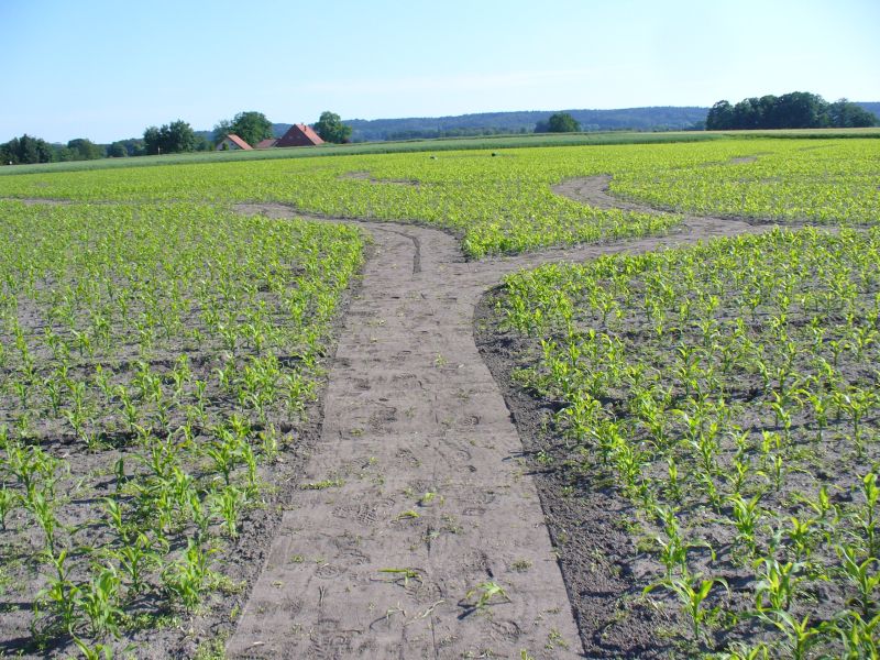 Maislabyrinth Venne 2014 - Fotogalerie - 18 von 100