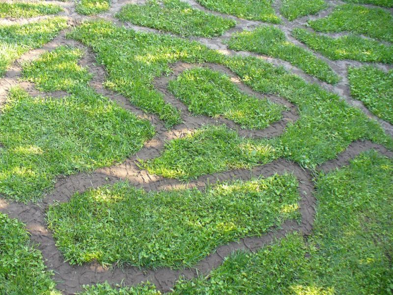 Maislabyrinth Venne 2014 - Fotogalerie - 91 von 100